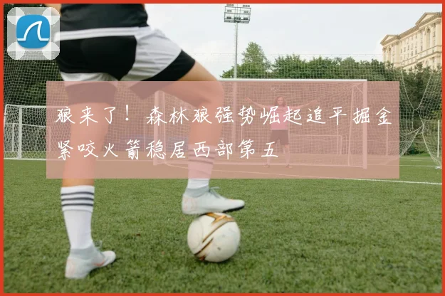 狼来了！森林狼强势崛起追平掘金紧咬火箭稳居西部第五